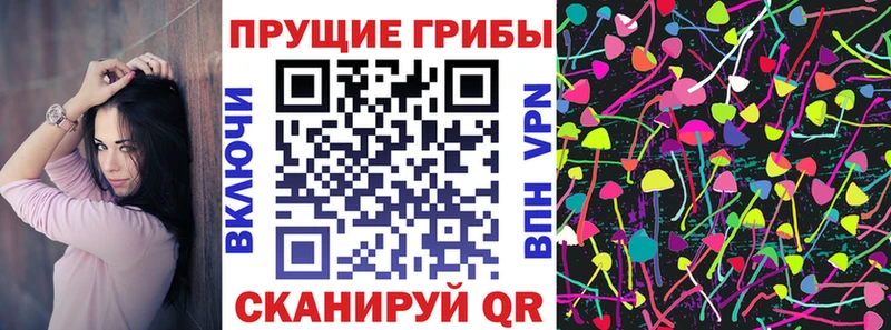 Купить  Славгород  Галлюциногенные грибы мицелий 