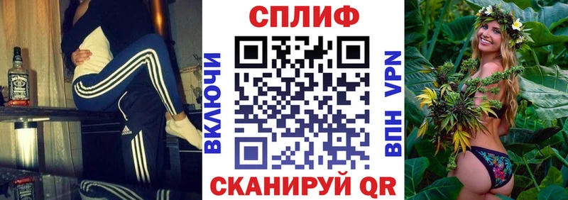 Купить где  Славгород  Конопля SATIVA & INDICA 